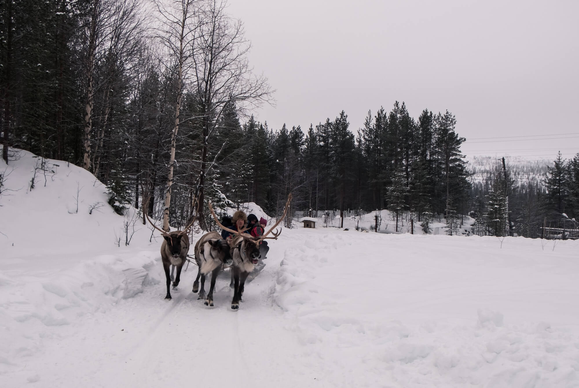 Путешествие НГ и каникулы: Мурманск, Териберка, этническая деревня