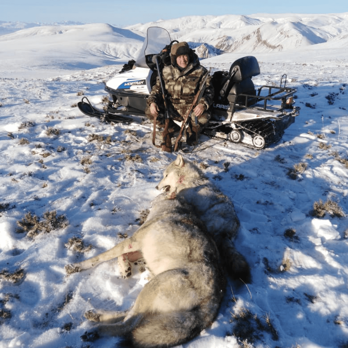 Путешествие Охота на Волка