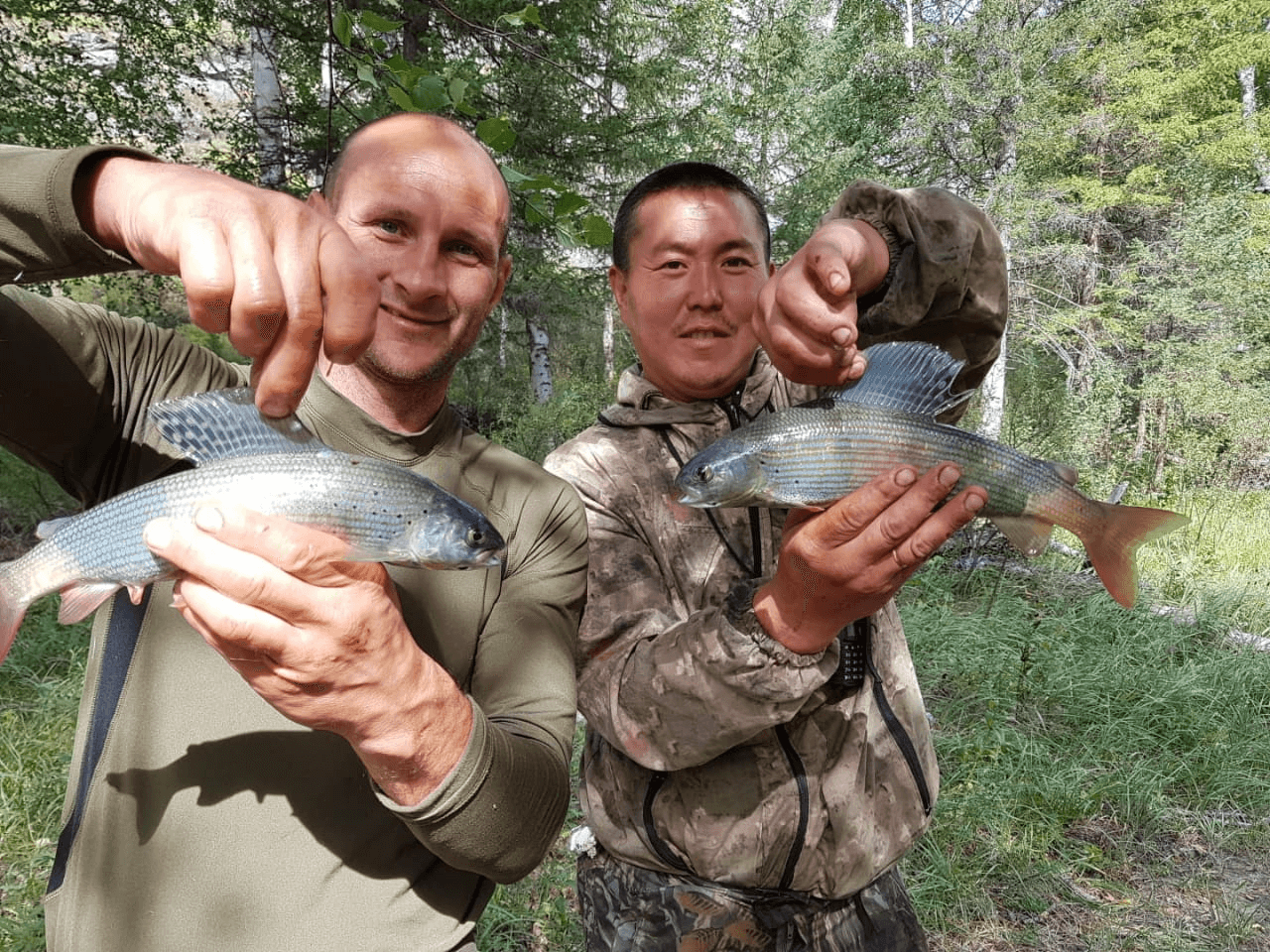 Путешествие Рыбалка на реке Шавла и Аргут