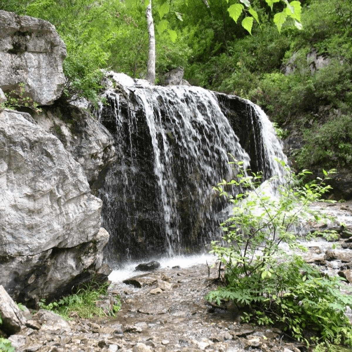 Путешествие Урочище и водопад Че-Чкыш