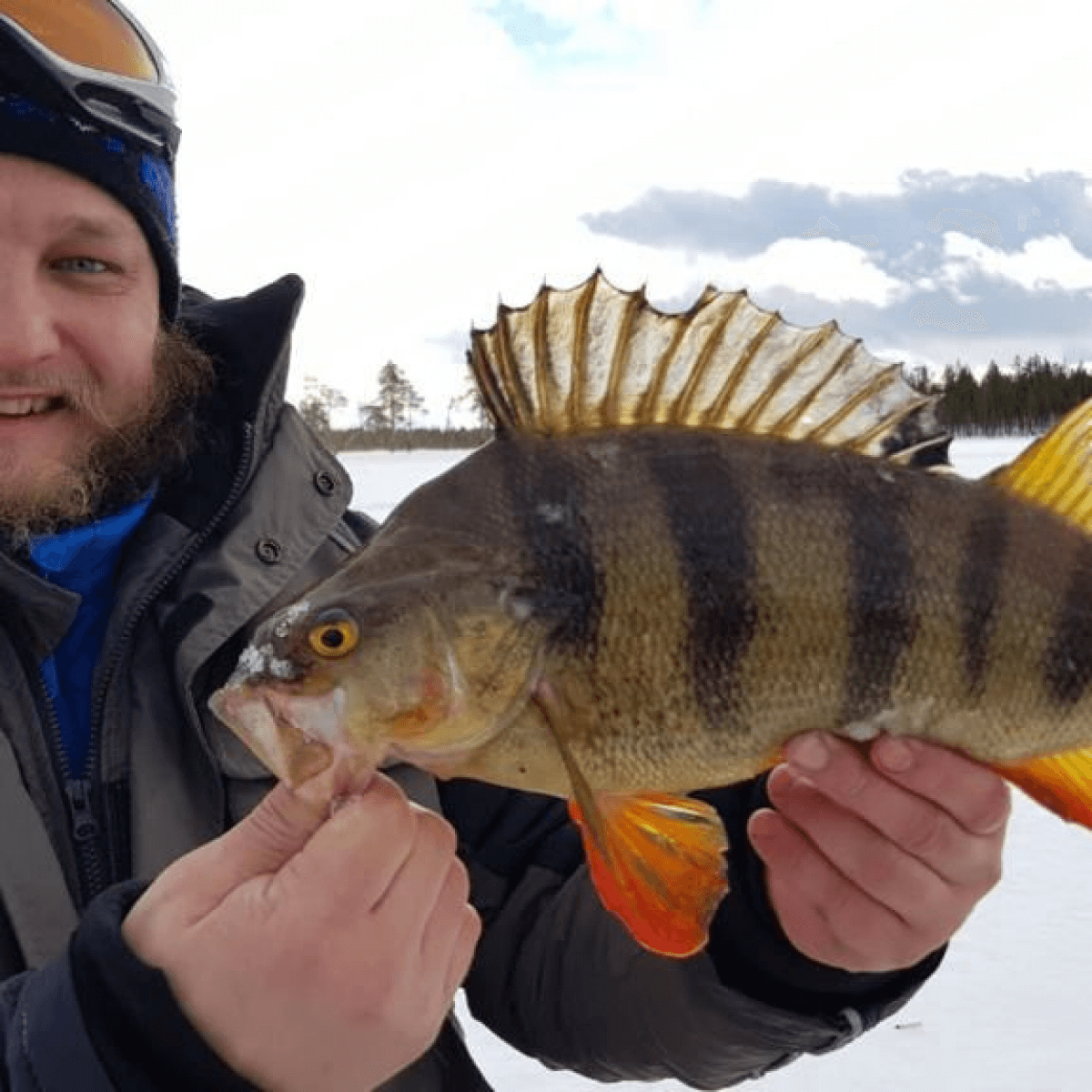 Путешествие Зимняя трофейная рыбалка