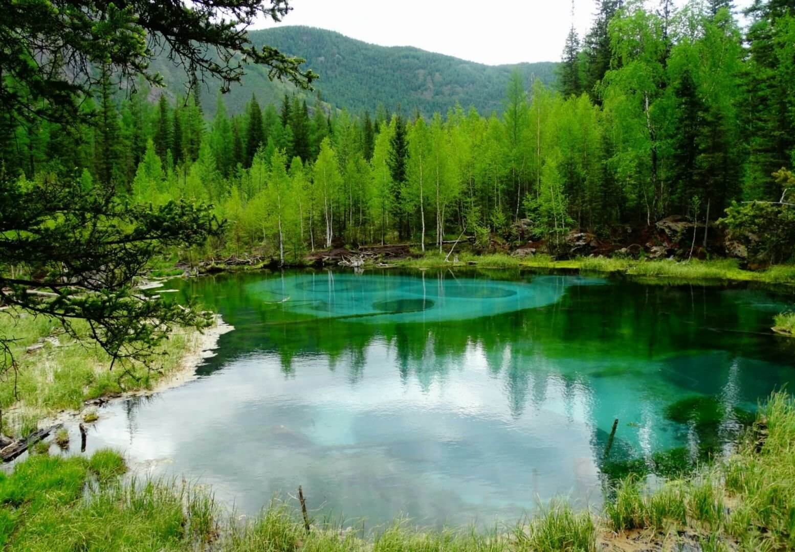 Теплое озеро на алтае. Гейзеровое озеро горный Алтай. Голубое Гейзеровое озеро горный Алтай. Гейзеровое озеро горный Алтай Акташ. Изумрудное Гейзерное озеро Алтай.